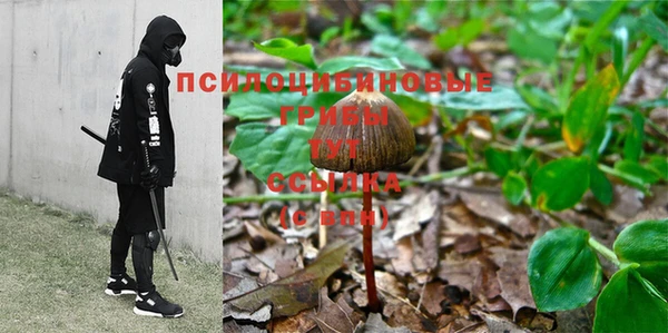трава Богданович